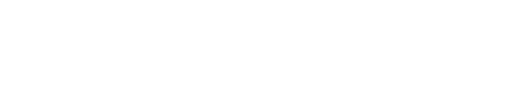 Logo diversia